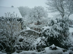 Snow covering various garden objects